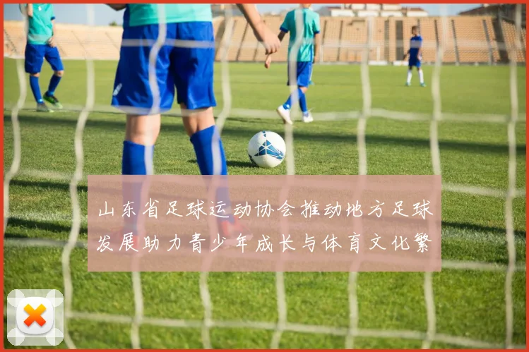 山东省足球运动协会推动地方足球发展助力青少年成长与体育文化繁荣