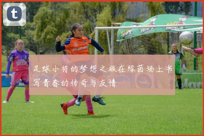 足球小将的梦想之旅在绿茵场上书写青春的传奇与友情