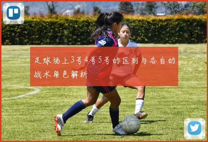 足球场上3号4号5号的区别与各自的战术角色解析
