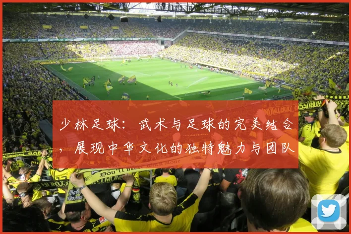 少林足球：武术与足球的完美结合，展现中华文化的独特魅力与团队精神