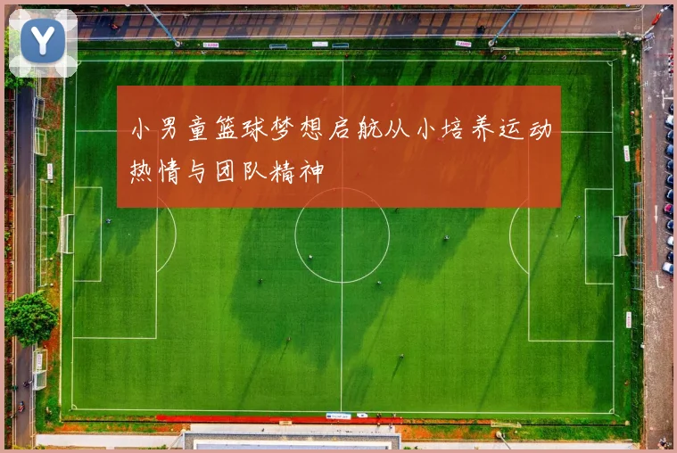 小男童篮球梦想启航从小培养运动热情与团队精神