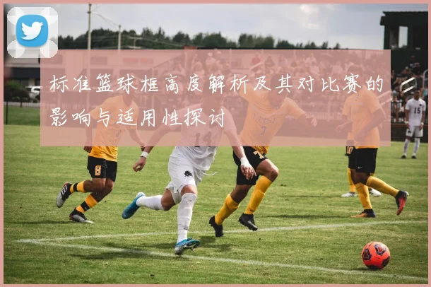 标准篮球框高度解析及其对比赛的影响与适用性探讨