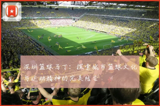 深圳篮球马丁：探索城市篮球文化与运动精神的完美结合